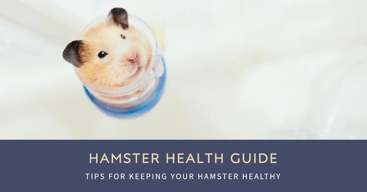 Hamster Health Guide