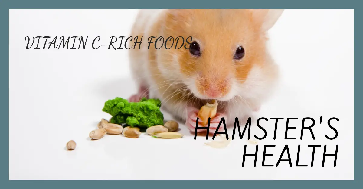 What Can I Feed My Hamster for Vitamin C