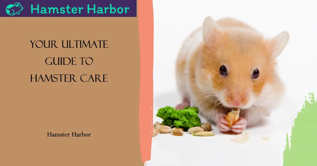 Hamster Care