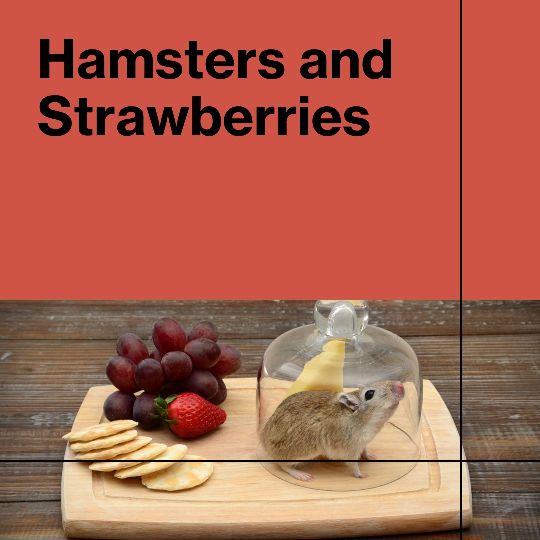 Can Hamsters Eat Strawberries? A Complete Guide