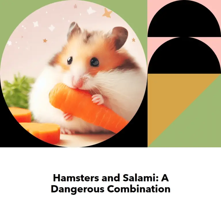 Can Hamsters Eat Salami