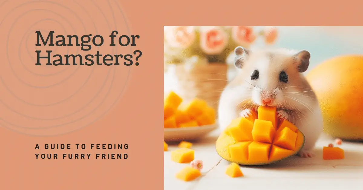 How to Safely Feed Mangoes to Your Hamster