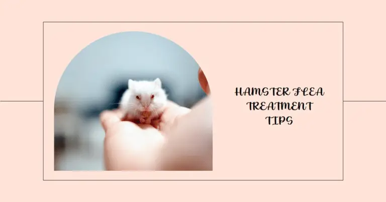 How to Get Rid of Fleas on Your Hamster: A Comprehensive Guide